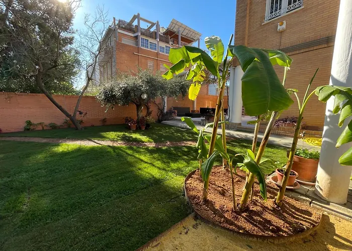 El Jardin De La Palmera