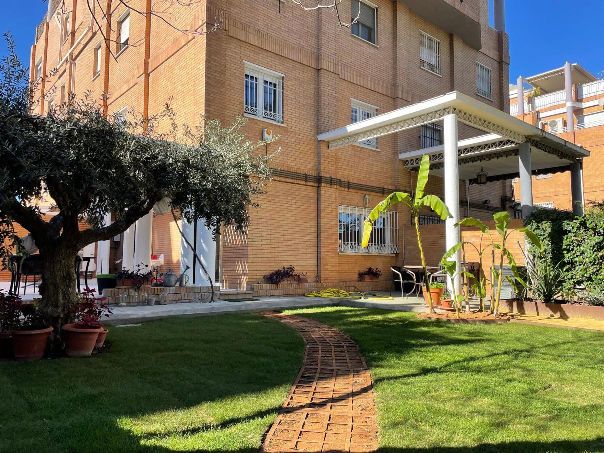 El Jardin De La Palmera *