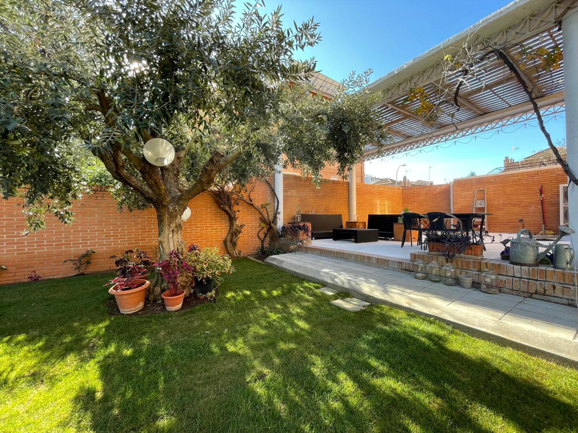 El Jardin De La Palmera Siviglia